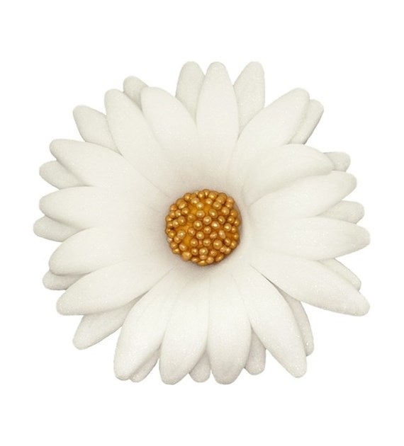 Daisy Double 054 White 6.5 cm (10)