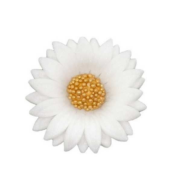 Daisy Double 054m White 4.5 cm (10)