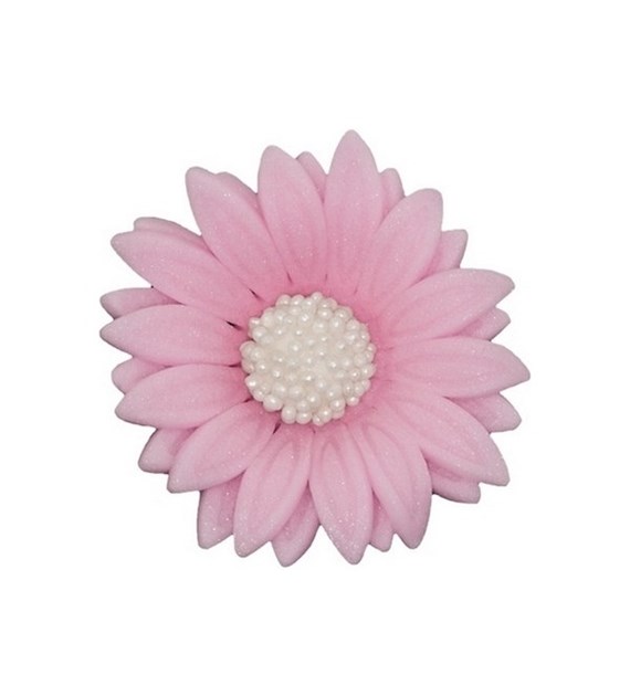 Daisy Double 054m Pink 4.5 cm (10)