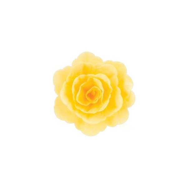 Wafer Rose Chinese Yellow (15)